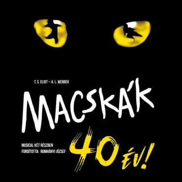 Macskák musical