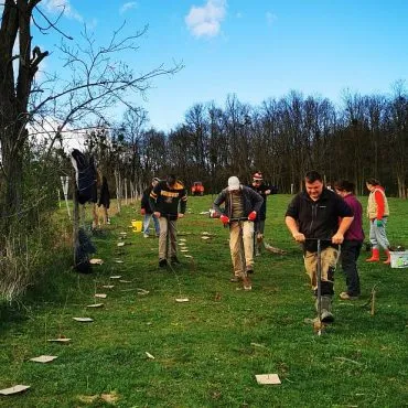 10 millió Fa Alapítvány