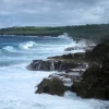 Niue szigete szponzorokat keres, hogy megvédje az óceán élővilágát