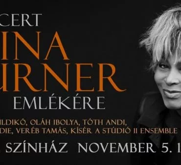 Tina Turner koncert