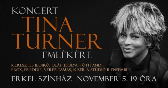 Tina Turner koncert