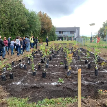 10 Millió Fa Alapítvány