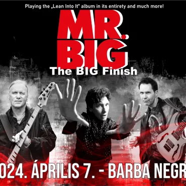 Mr. BIG