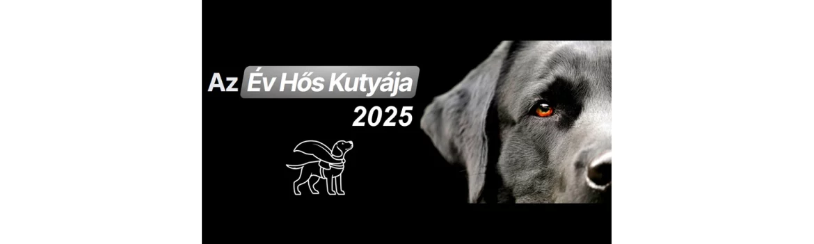 Az év hős kutyája