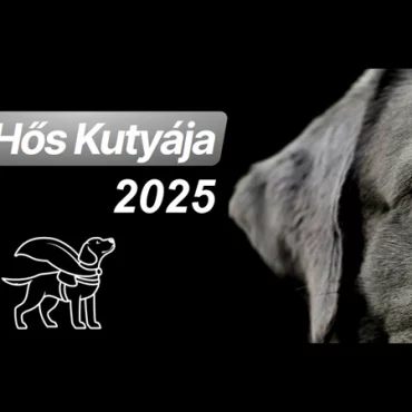 Az év hős kutyája
