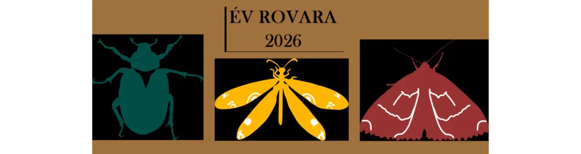év rovara