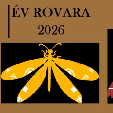 év rovara